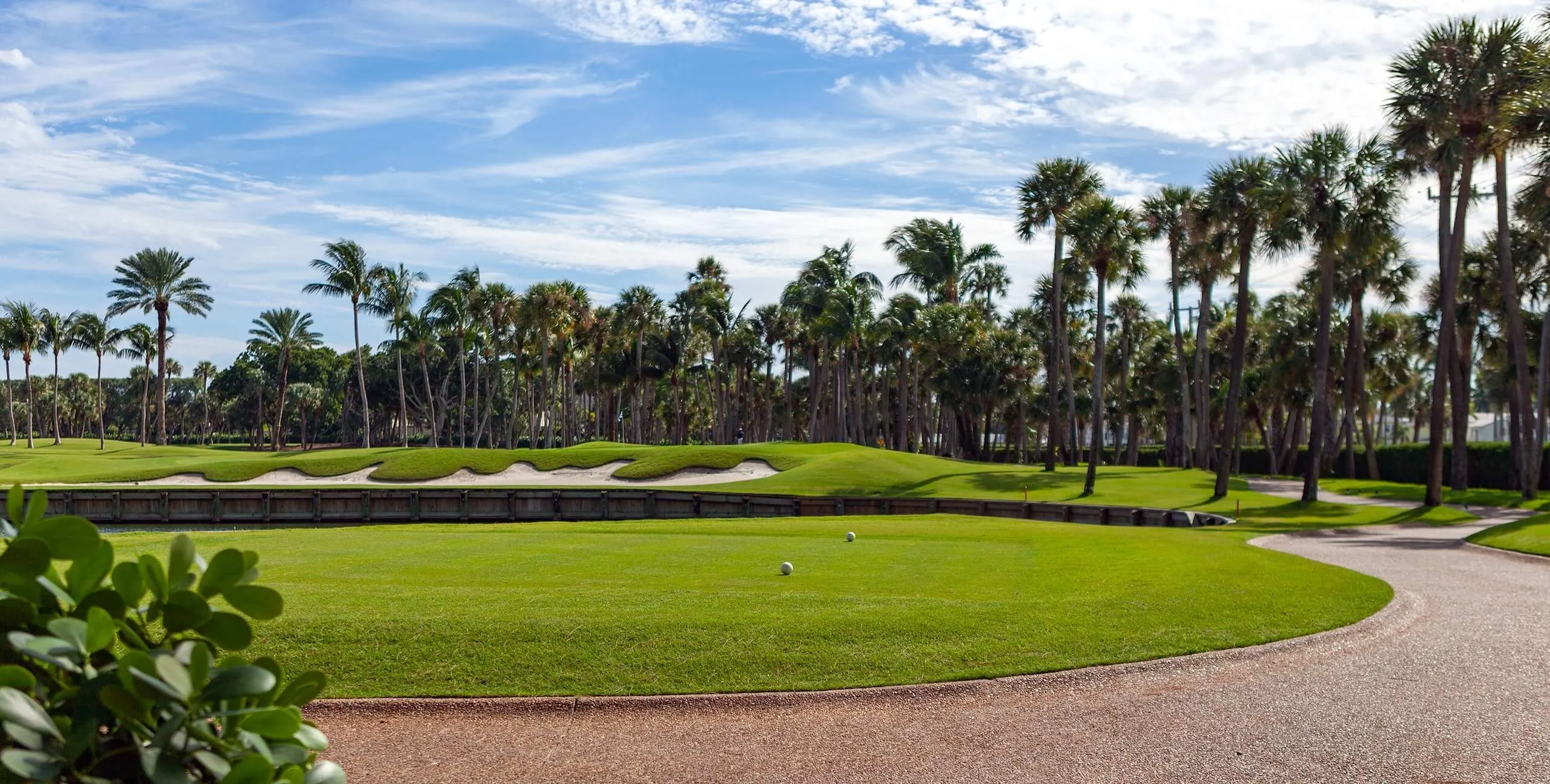 Golf Course in Southwest Florida