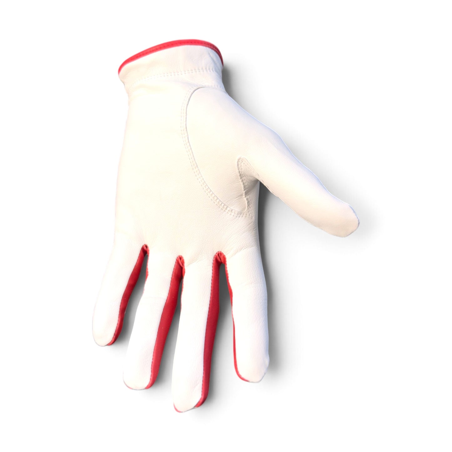 Transfusion Cabretta Leather Golf Glove | Premium Golf Glove with Magnetic Ball Marker | Left & Right Hand | Standard & Cadet Sizes