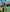 A person in a turquoise shirt and an Elephant Cookie Pink Frosted Elephant Golf Hat with a built-in magnetic ball marker swings a golf club on a green with palm trees and dry vegetation under a blue sky.