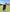 A man in an adjustable red Missing Milk Golf Hat with built-in magnetic ball marker focuses on putting a golf ball on a green course under a blue sky, wearing a black jacket and shorts, trees in the background.