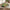 The Baseball Field | Golf Shop Mat | Cart Accessory, designed to look like a baseball field, is being placed by hand on a beige rug near a window, with white shoes and a potted plant on the wooden floor nearby.