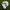 Two white golf balls labeled Logie Joes sit on artificial turf by the Bottom of the Cup Golf Putting Disk, an indoor practice marker and portable training aid featuring the Logie Joes logo—ideal for precision putting practice.